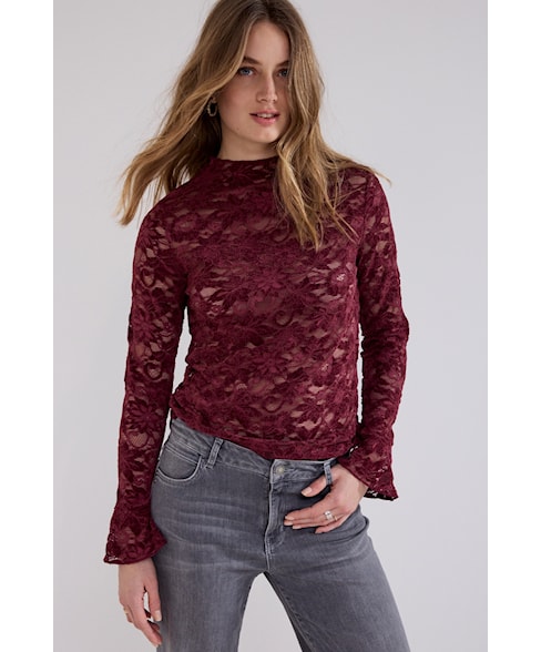 c65-21-401 | Bloes Velvet lace