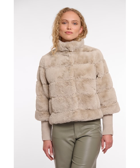 7002512 feline | Jas Feline
