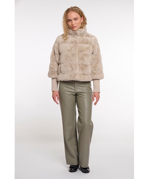 7002512 feline | Jas Feline