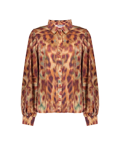 53656-20 | Bloes Print